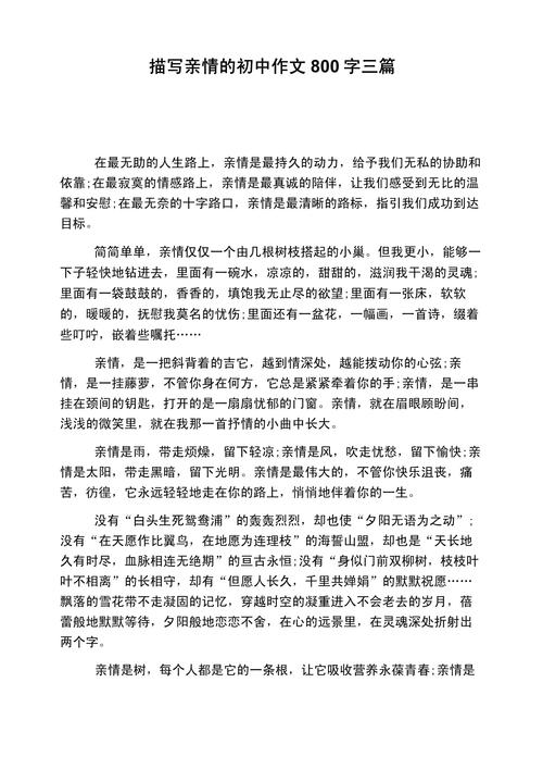 模亲情作文800字初中
