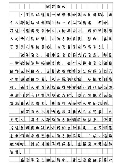 我欣赏300字作文初中