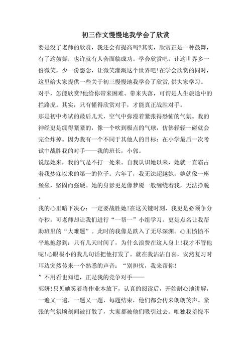 我欣赏300字作文初中