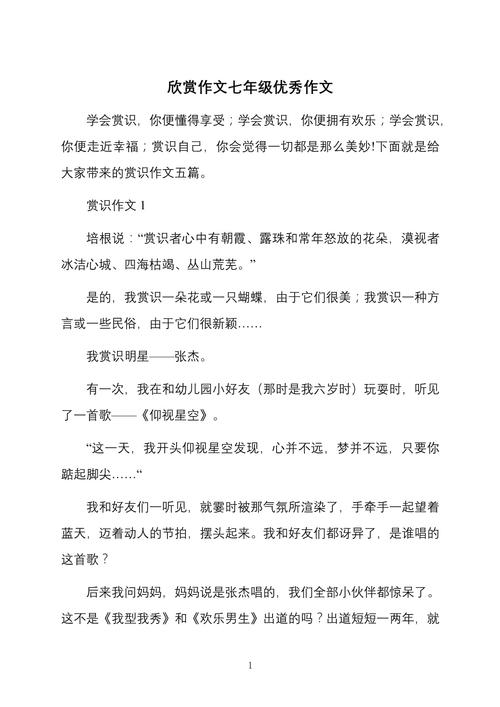 我欣赏300字作文初中