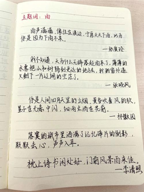 初中摘抄格式图片大全集