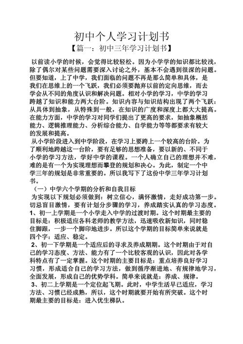 初中的以后打算900字