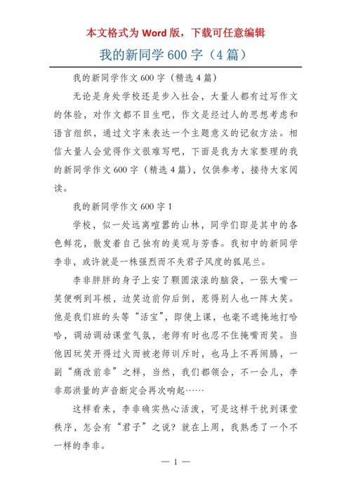 作文600字初中写同学