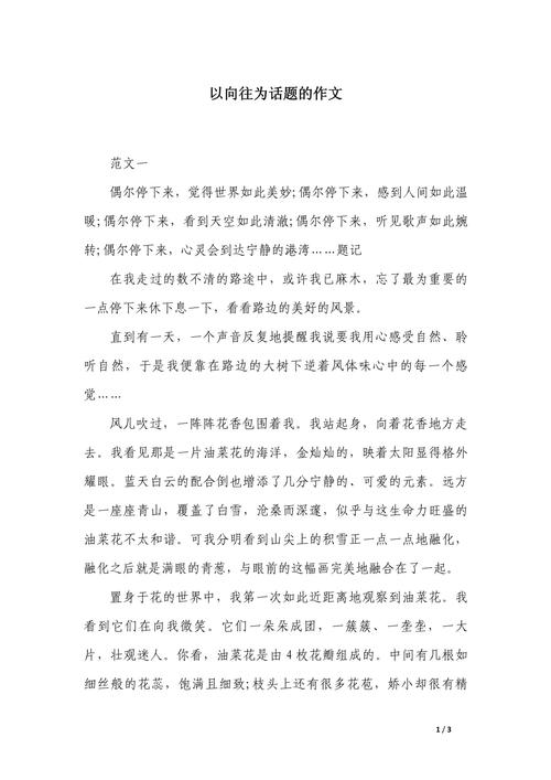 我向往作文600字初中