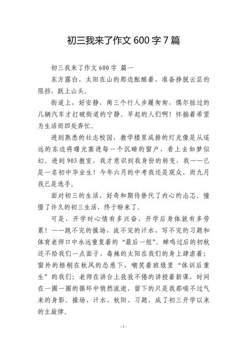 初中我来了作文900字