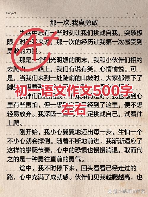 繁多的作业500字初中