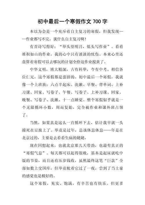 寒假最后几天 初中作文