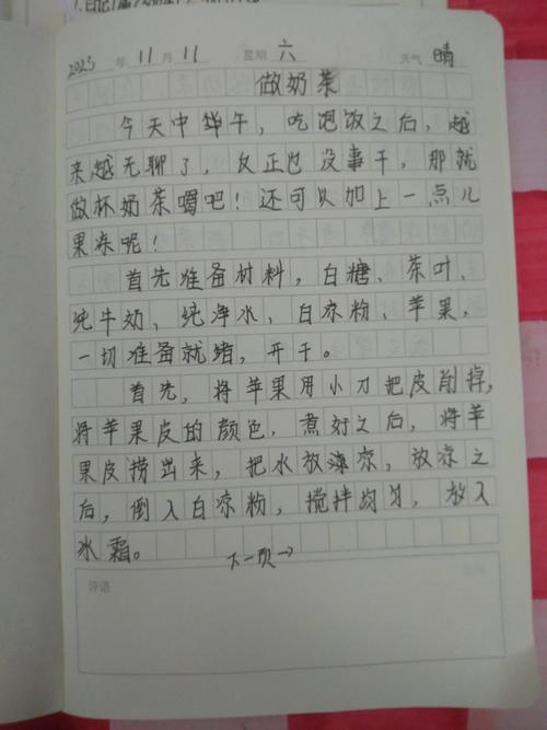 300字日记初中30篇