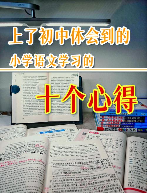 小学语文与初中语文的区别