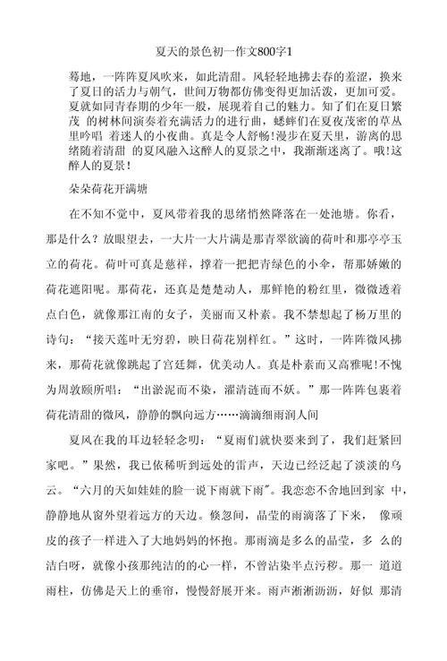 夏天的美景600字初中