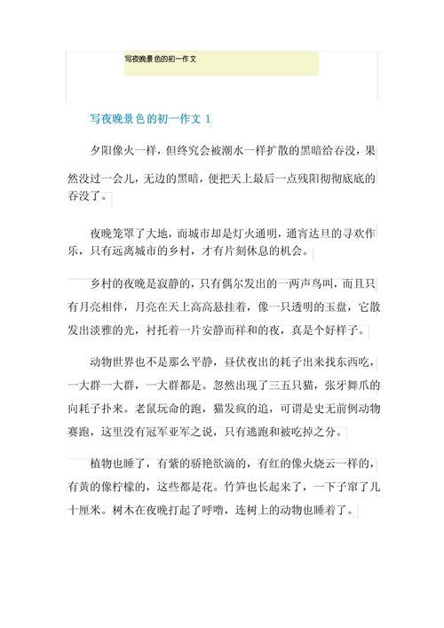 初中写夜景作文500字