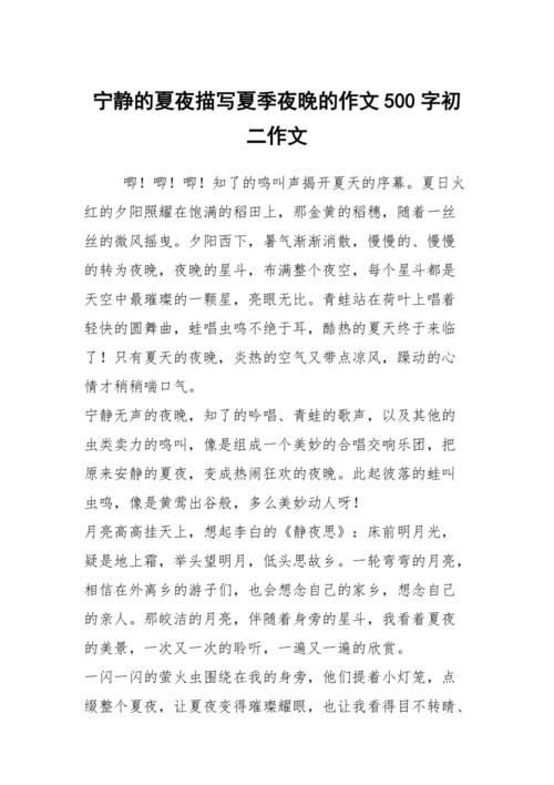初中写夜景作文500字