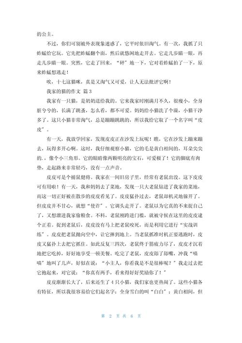 我家的小猫600字初中