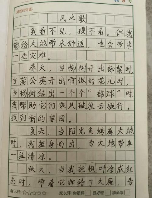 迎接风作文600字初中