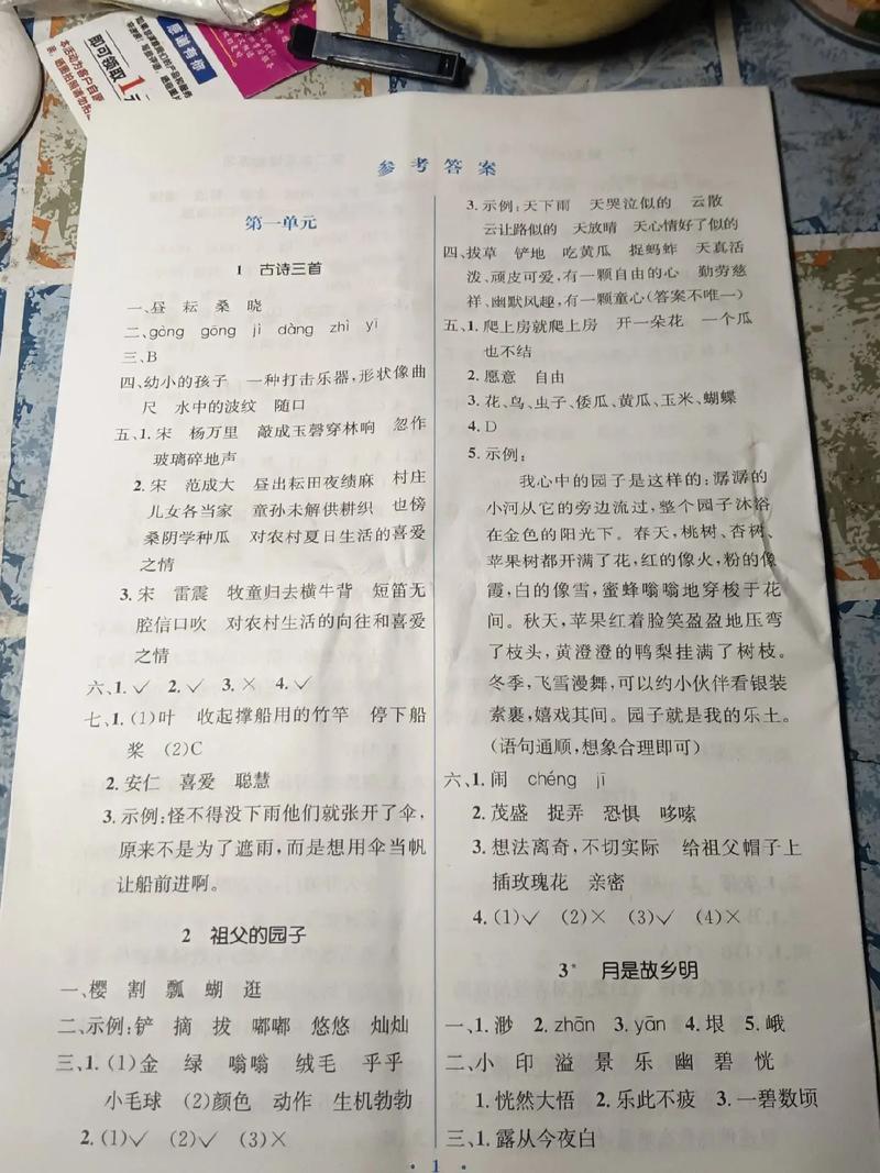 小学五年级语文练习册答案