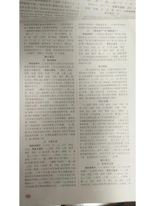 小学五年级语文练习册答案