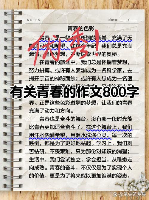 与青春同行800字初中