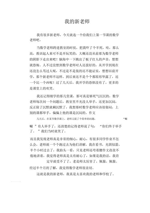初中的新老师作文300