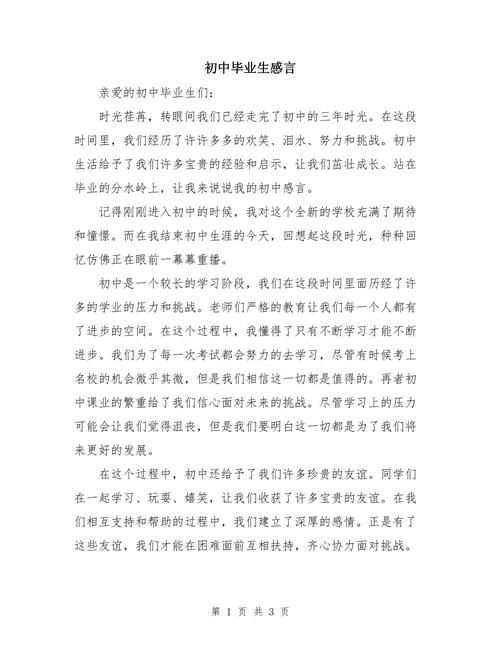 展望初中毕业后600字