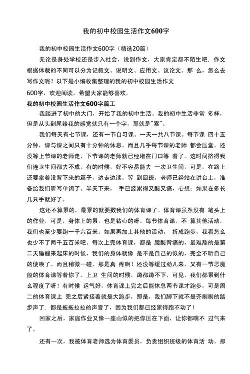 跨进初中的校门600字