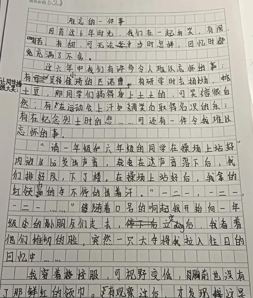 校园的回忆600字初中
