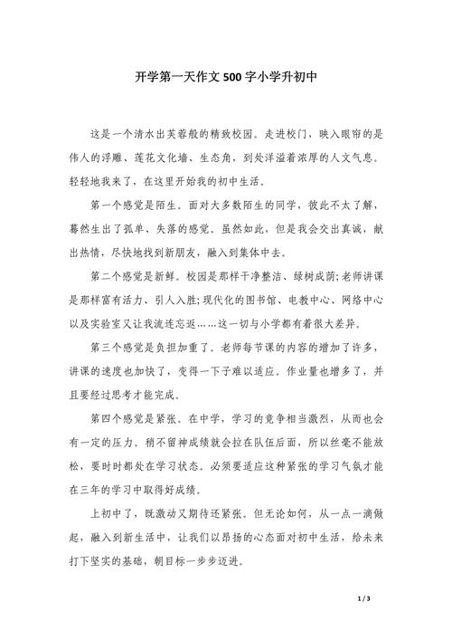 我即将步入初中500字