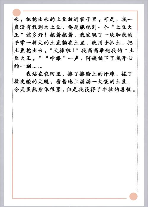 挖土豆作文700字初中