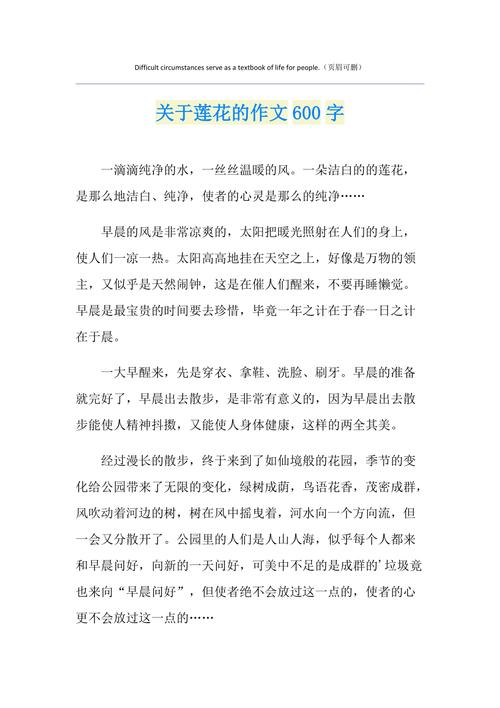 初中荷花的作文600字