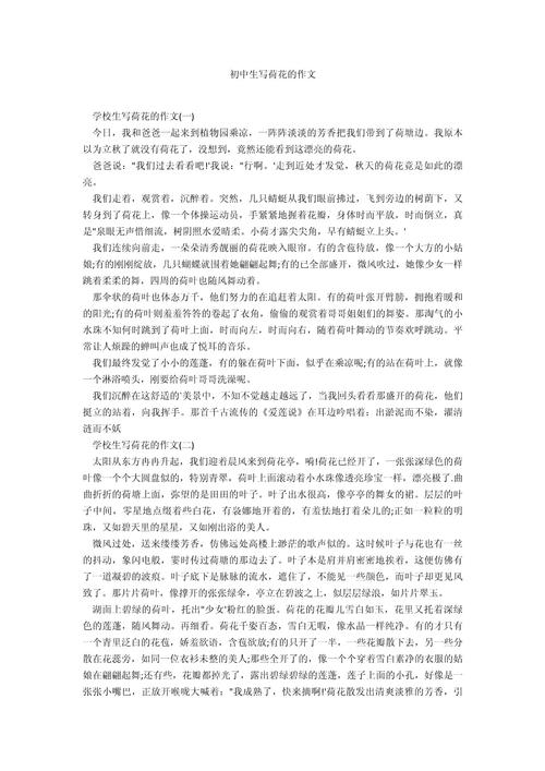 初中荷花的作文600字