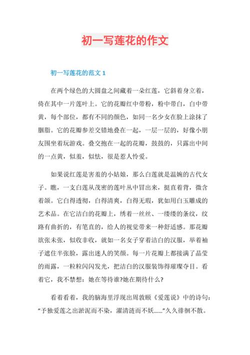 初中荷花的作文600字