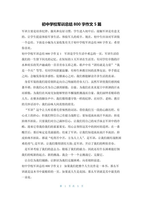 初中半期总结作文700