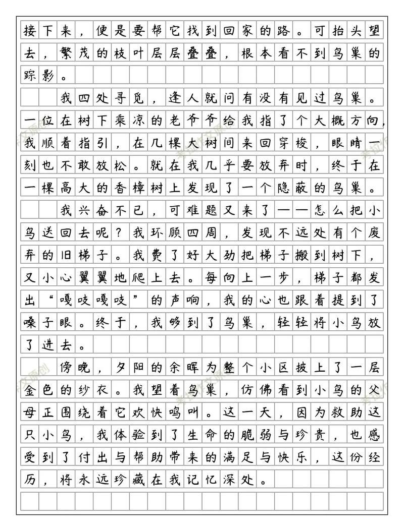 初中700字作文加赏析