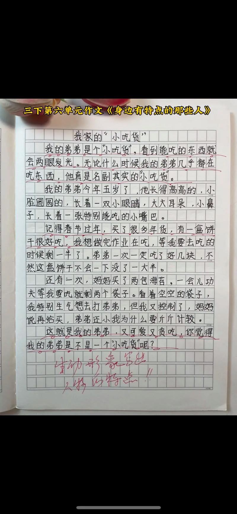 小学生同步作文三年级下册