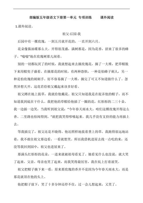 小学五年级阅读训练及答案