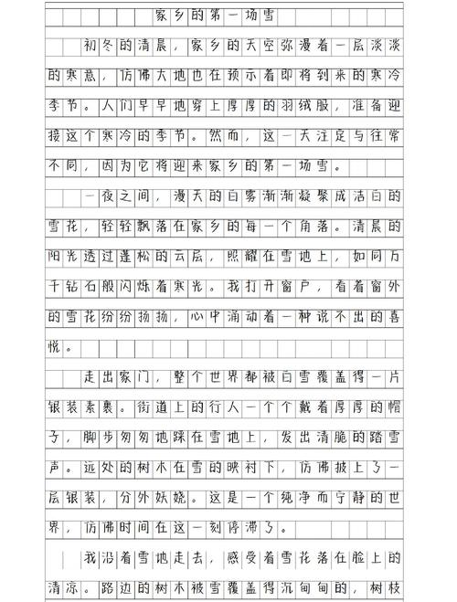 初中雪作文400字作文