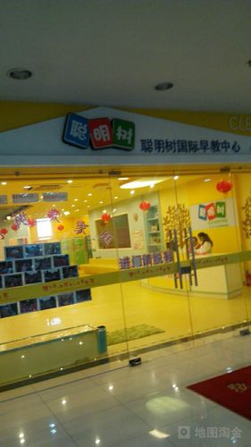 聪明树国际早教 山东