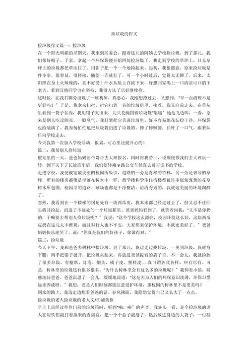 捡垃圾作文600字初中