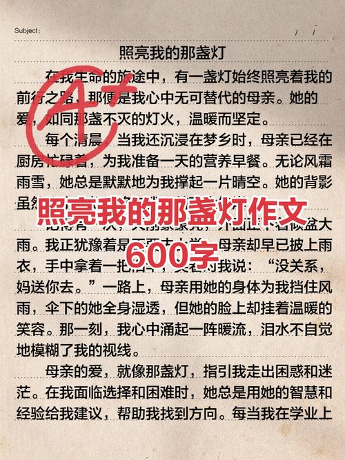 那盏灯作文650字初中