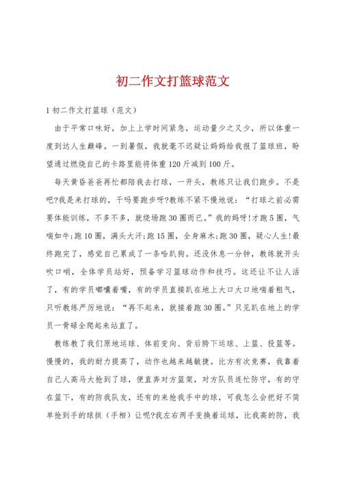 打篮球日记500字初中