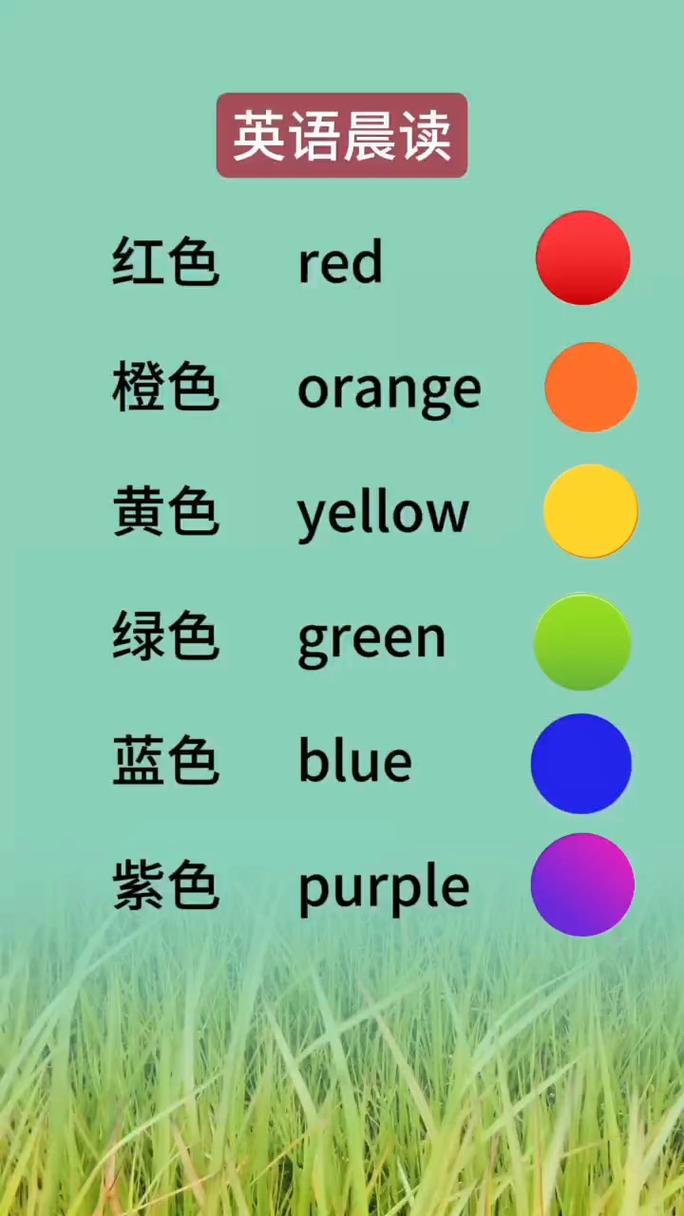 幼儿英语早教单词颜色