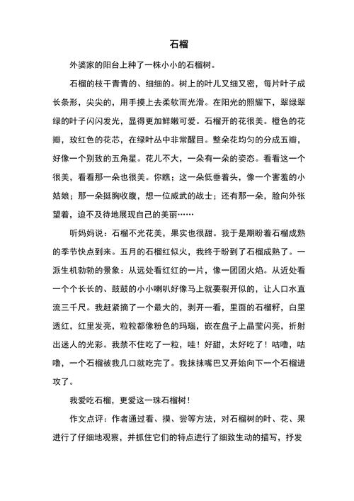 描写秋天石榴的作文初中