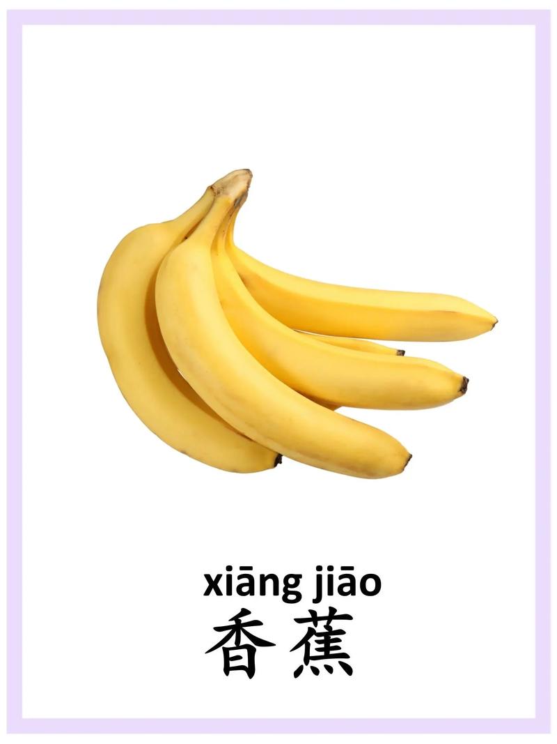 宝宝早教图片水果图片