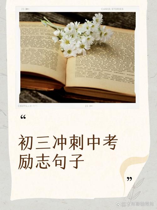 初中磨剑励志 享受拼搏