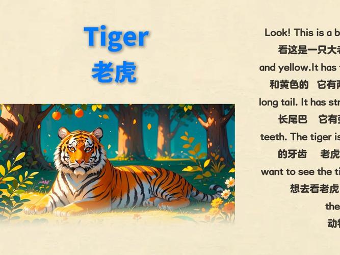 关于老虎的资料英文初中