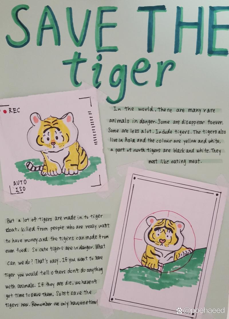 关于老虎的资料英文初中