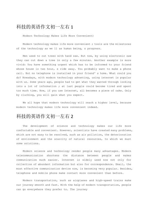 初中关于电脑的英语作文