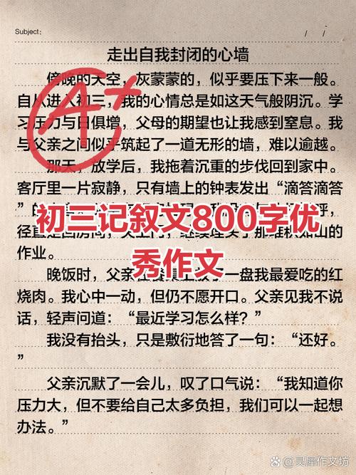 初中的陪衬作文800字
