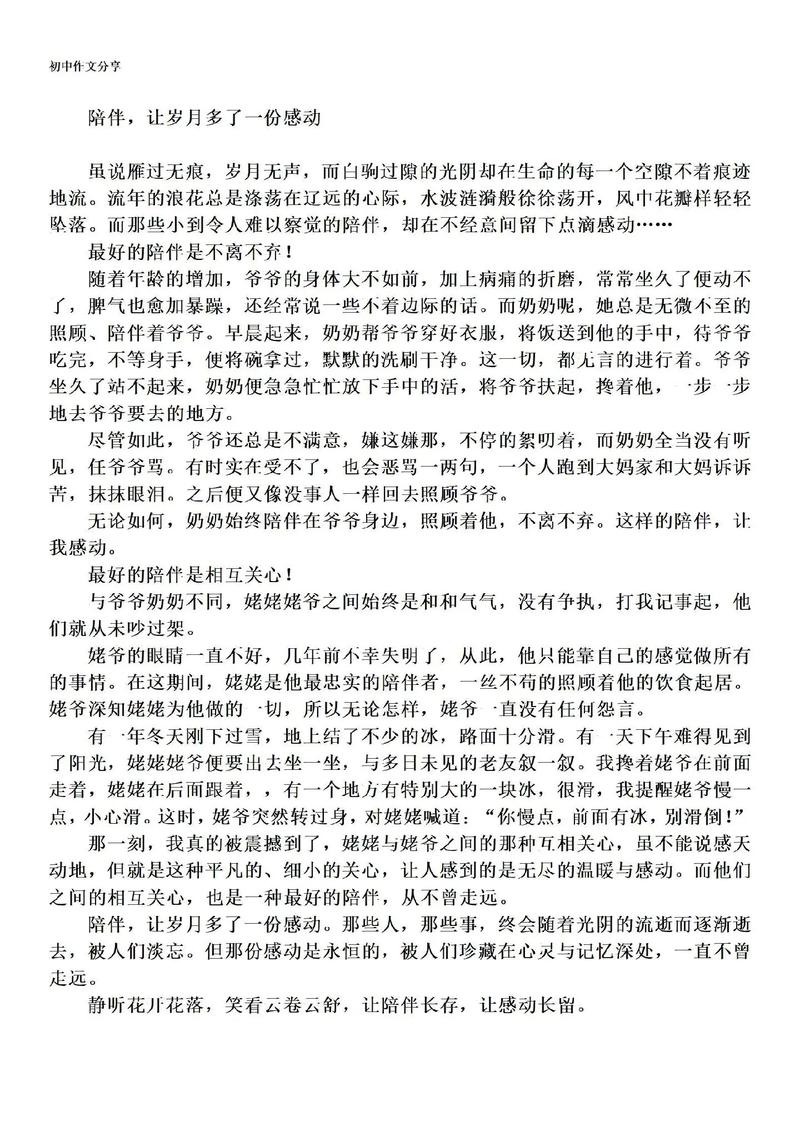 初中的陪衬作文800字