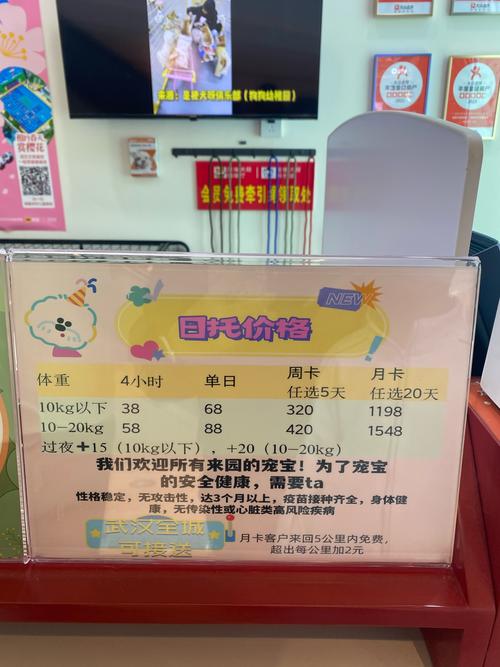 东莞虎门早教中心收费