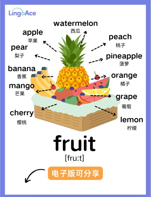 早教英语水果单词大全